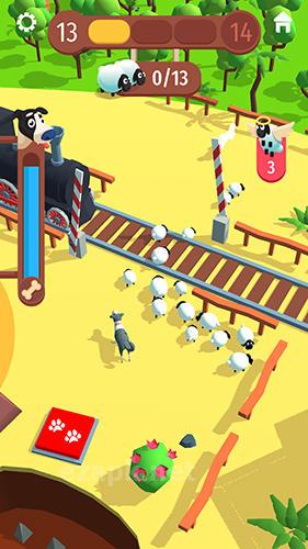 Sheep patrol
