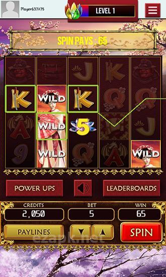 Samurai's way slots