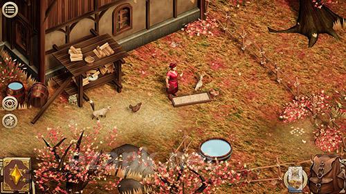 Pendula swing