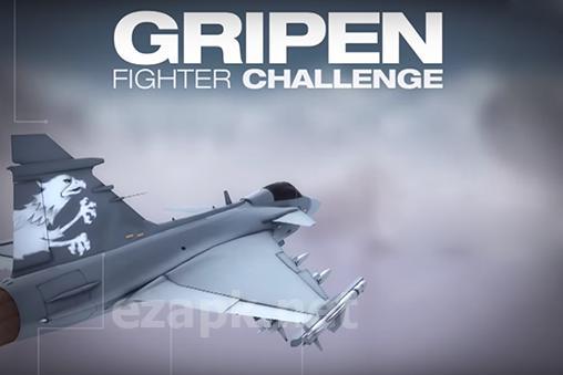 Gripen fighter challenge