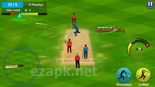 World of cricket: World cup 2019