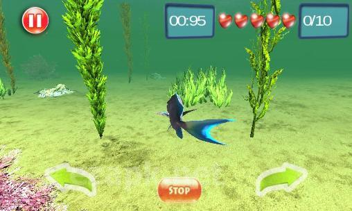 Underwater world adventure 3D