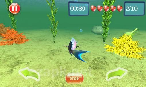 Underwater world adventure 3D
