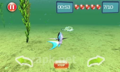 Underwater world adventure 3D