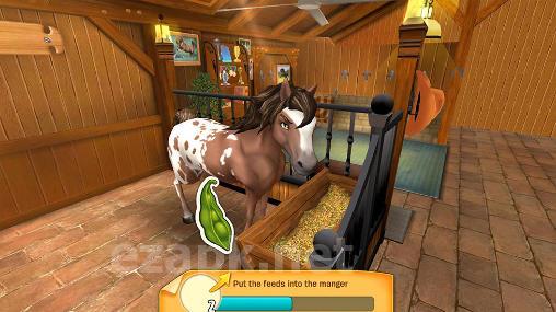 Horse haven: World adventures
