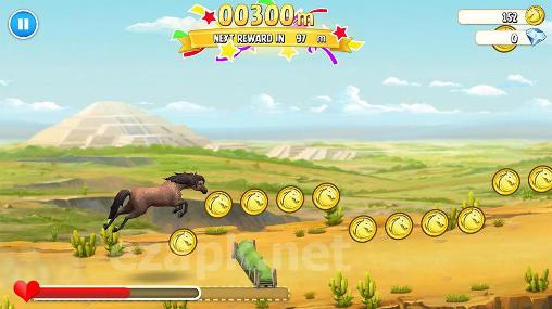 Horse haven: World adventures