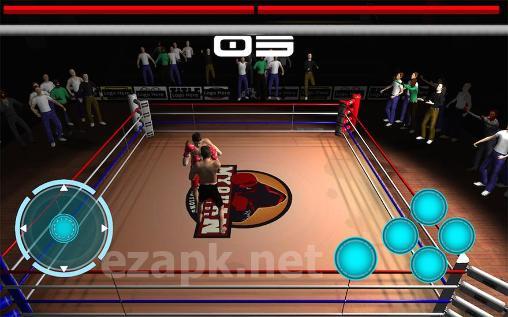 Real boxing champions: World boxing championship 2015