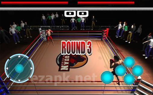 Real boxing champions: World boxing championship 2015