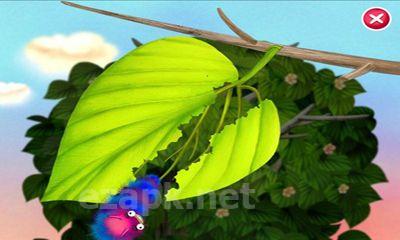 Pepi Tree