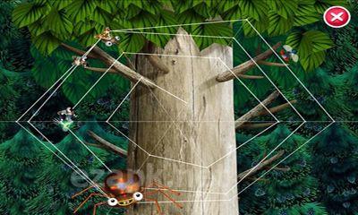 Pepi Tree