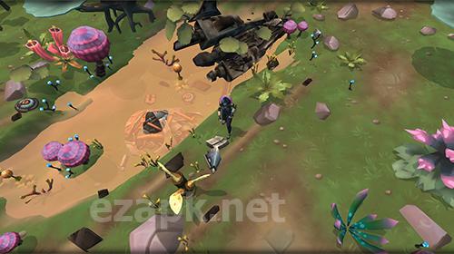 Castaway fortnight: Rules of survival
