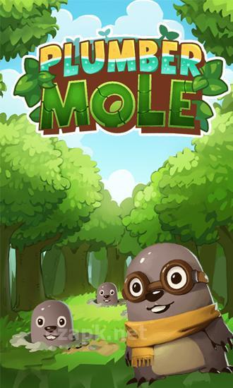 Plumber mole