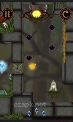 Wisp