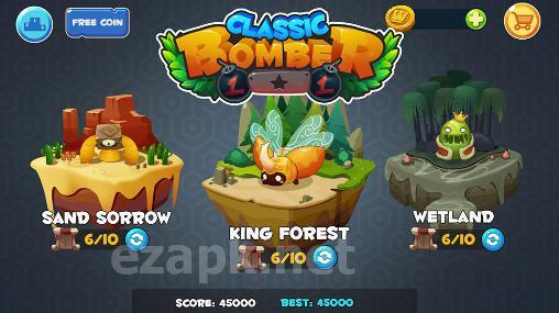 Bomber classic