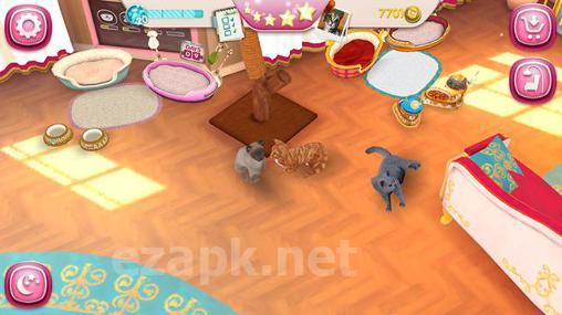 Cat hotel: Hotel for cute cats