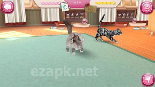 Cat hotel: Hotel for cute cats