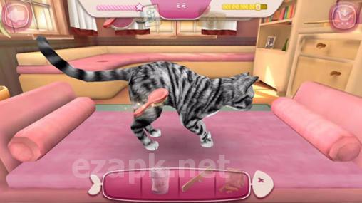Cat hotel: Hotel for cute cats