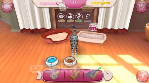 Cat hotel: Hotel for cute cats