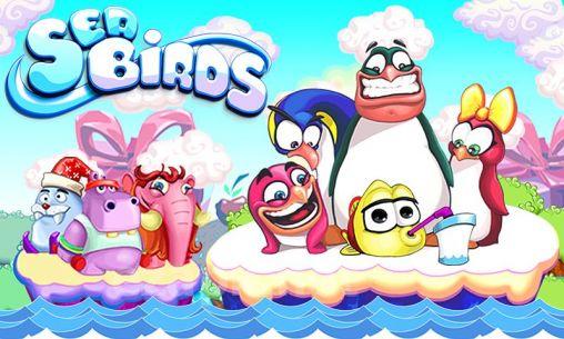 Sea birds. Happy penguins