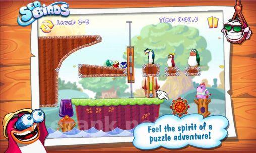 Sea birds. Happy penguins