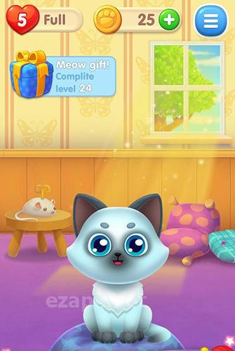 Meowtime