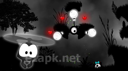 5eels 2