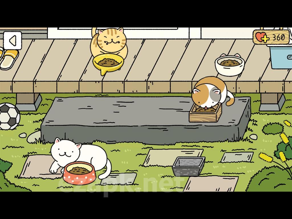 Adorable Home