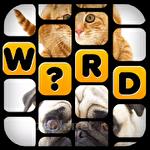 What the word?