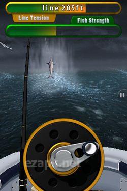 Flick Fishing