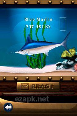 Flick Fishing