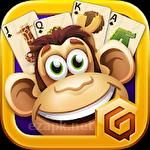 Solitaire safari