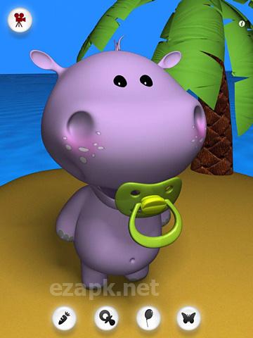 Talking baby hippo