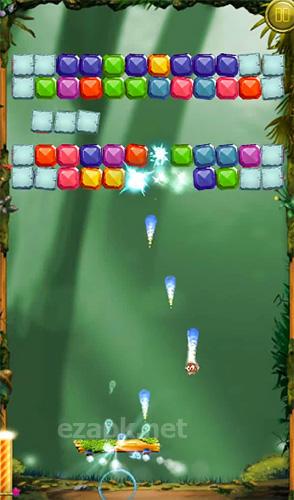 Armadillo adventure: Brick breaker