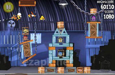 Angry birds Rio