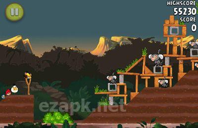 Angry birds Rio