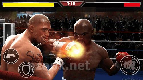 Real fist