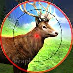 Deer hunting sniper safari: Animals hunt