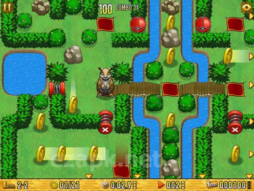 Armadillo: Gold rush