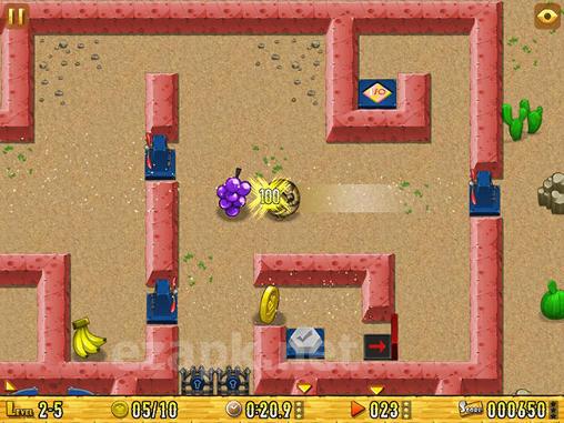 Armadillo: Gold rush