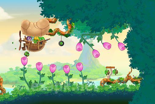 Angry birds: Stella