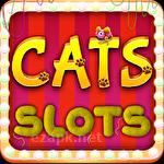 Cats slots: Casino vegas