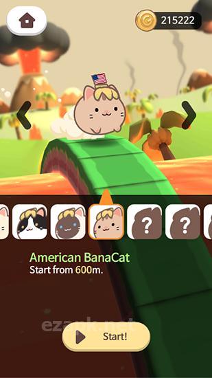 The last banacat