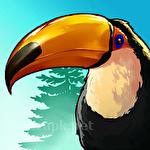 Birdstopia: Idle bird clicker