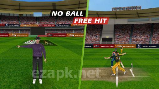 World cricket championship pro