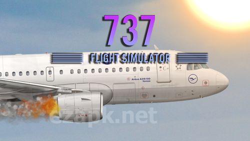 737 flight simulator