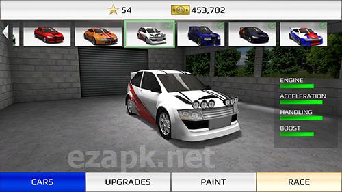 Rally fury: Extreme racing