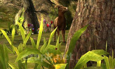 Deer hunter 2014