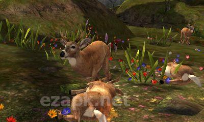 Deer hunter 2014