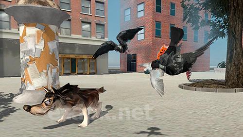 Flying bird pigeon simulator 2