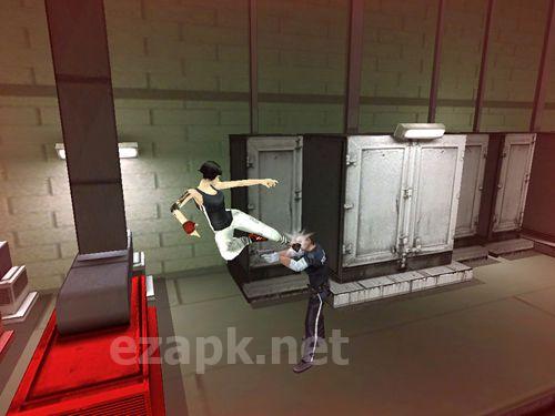 Mirror's edge